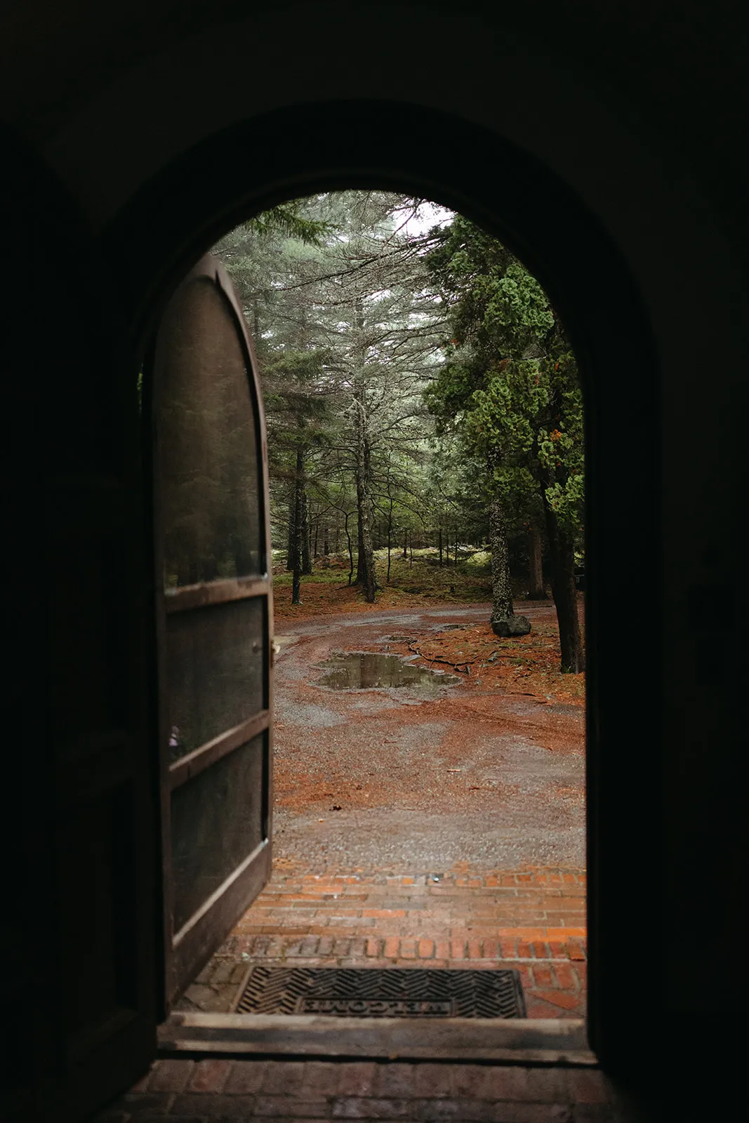 Looking out through the arched doorway to the wet drive and the pines after rain
