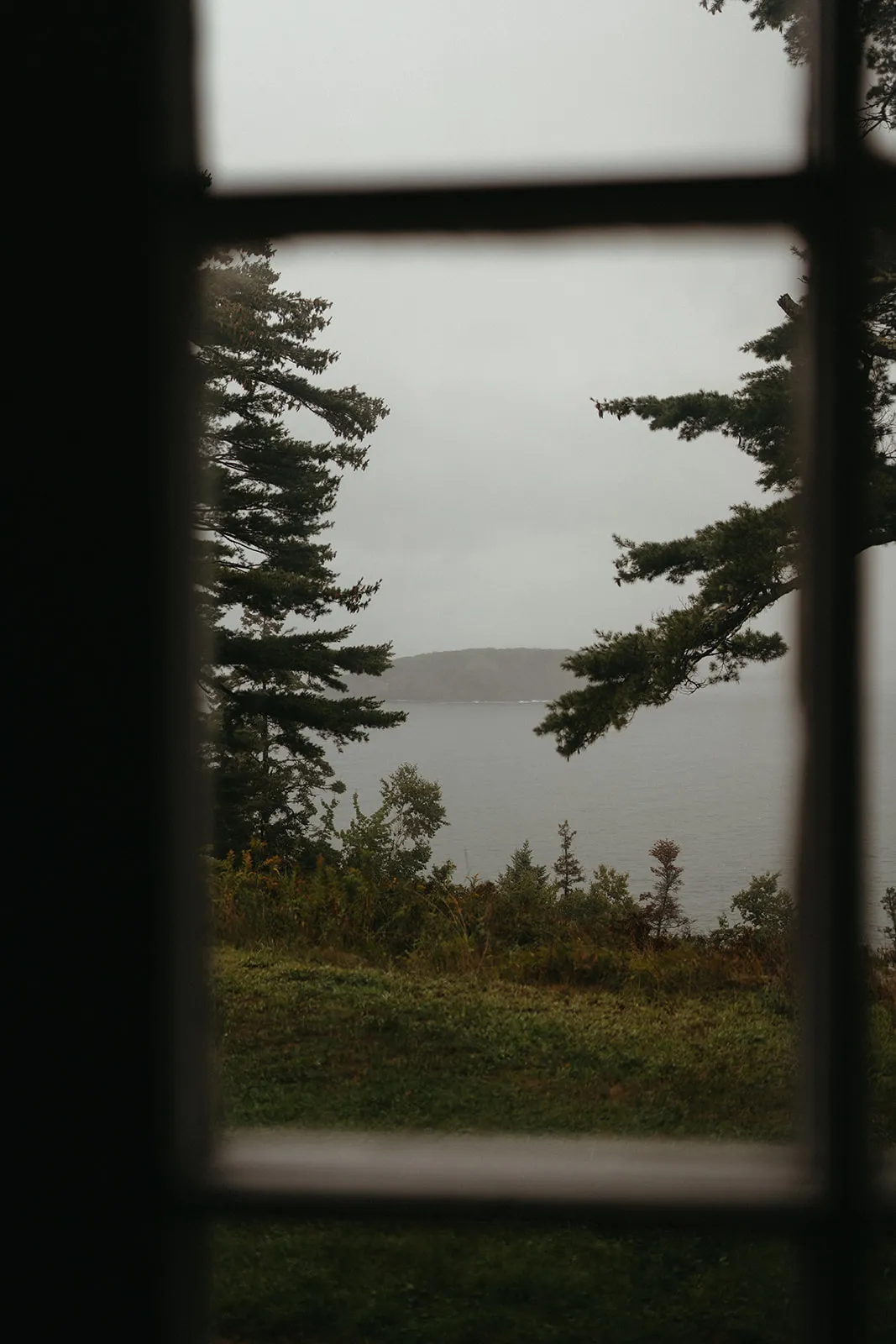 Frenchman Bay and Bald Porcupine island seen through pines from the porch