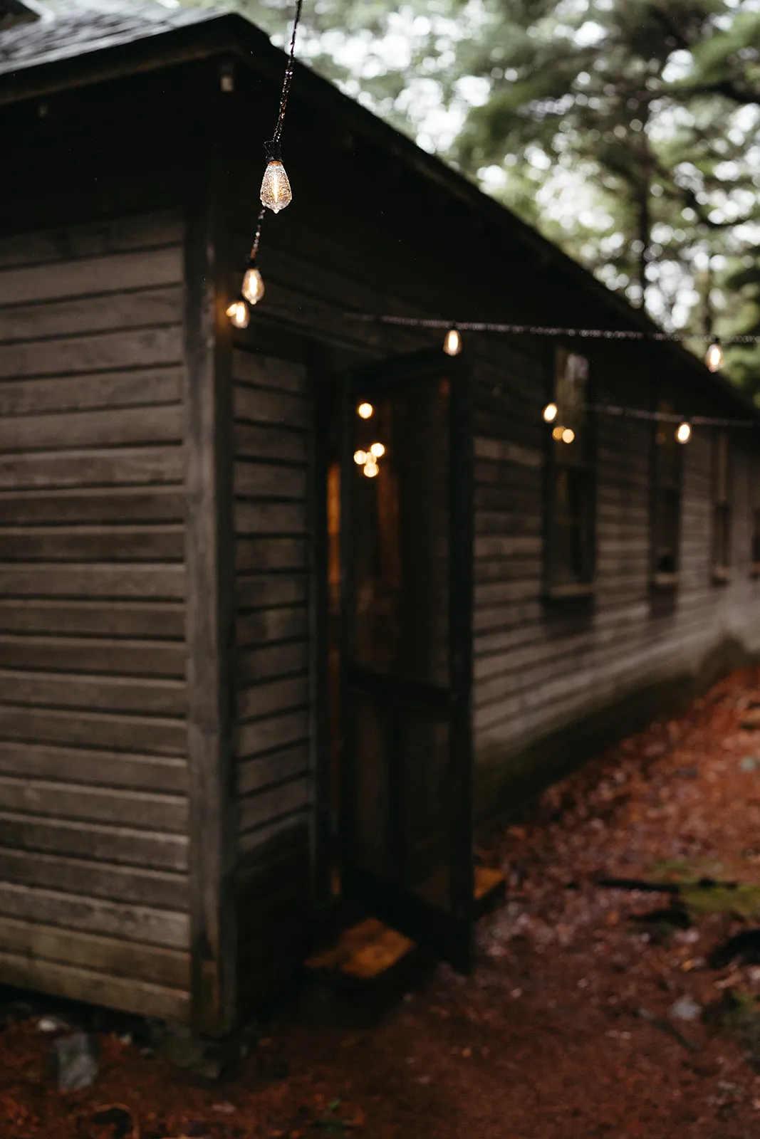 The wooden Game House in the woods, strung with lights at dusk
