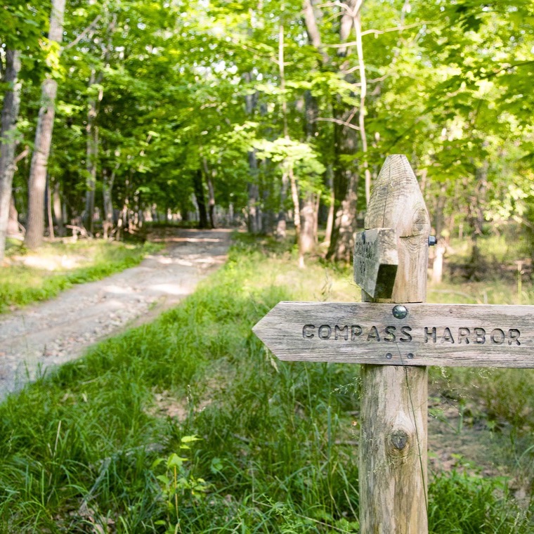 A wooded path leading from the property into Acadia National Park